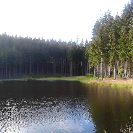 Apartment Jiretinska Chaloupka Jiřetín pod Jedlovou